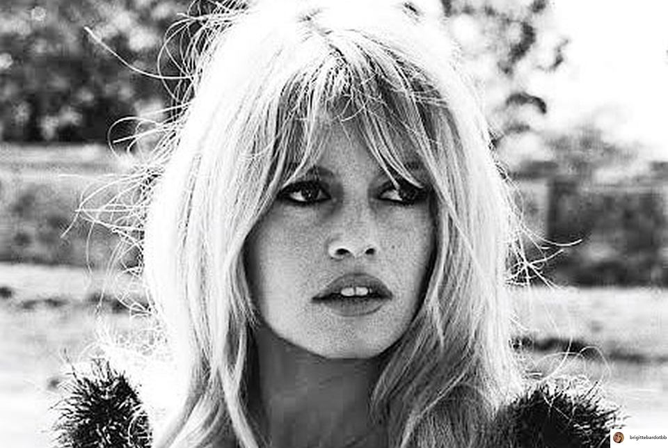 z26907914V,Brigitte-Bardot.jpg