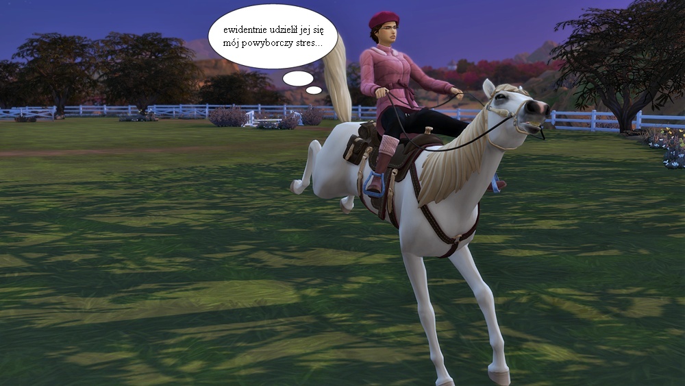 stres.jpg
