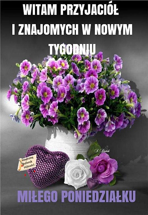 nowy tydzień 1.jpg