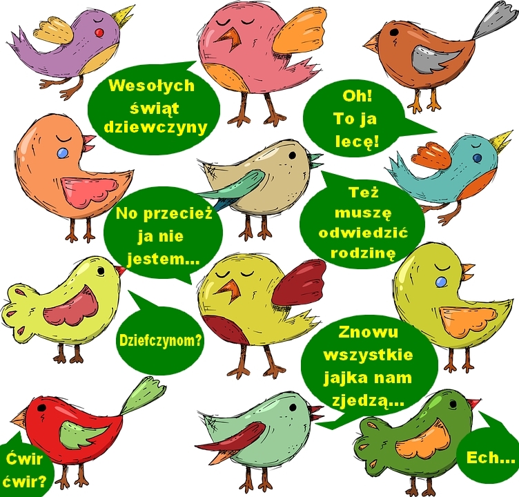 bird-4091989_960_720.jpg